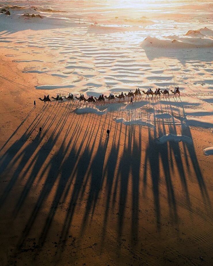 Sombras majestuosas de la fauna en los desiertos, vistas desde parapente en impresionantes imágenes