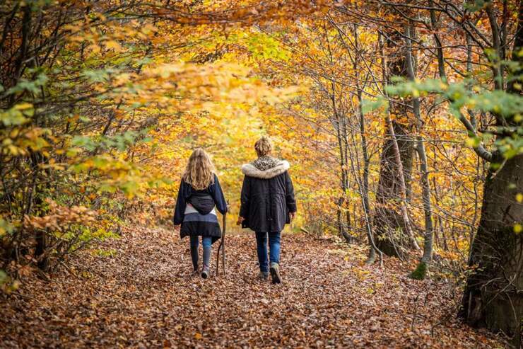 Descubre Valonia este otoño: escapadas culturales, naturales y gastronómicas para todos