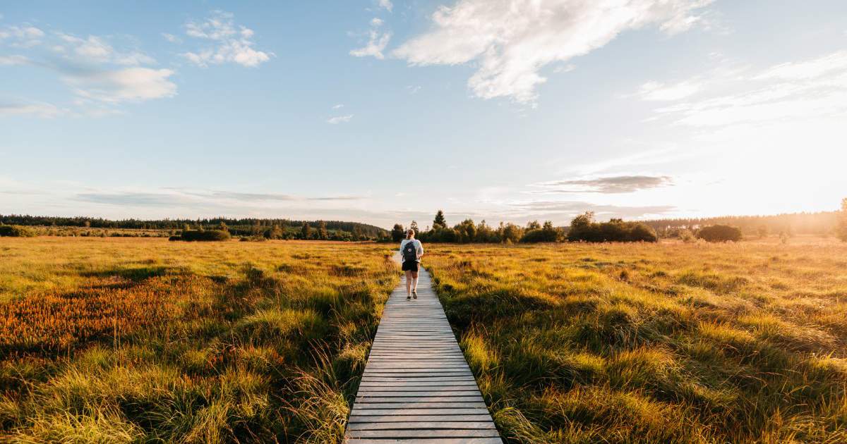 Descubre Valonia este otoño: escapadas culturales, naturales y gastronómicas para todos